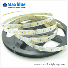 DC24V 224LED / M 3014 CCT Einstellbares LED-Streifenlicht